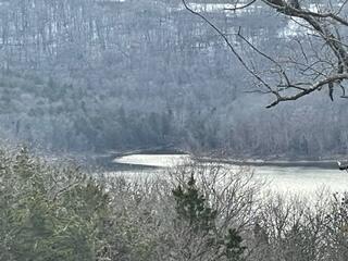 Lot 8 Talking Rocks Rd Branson Road Reeds Spring, MO 65737 - Photo 1 of 1 Lot 8