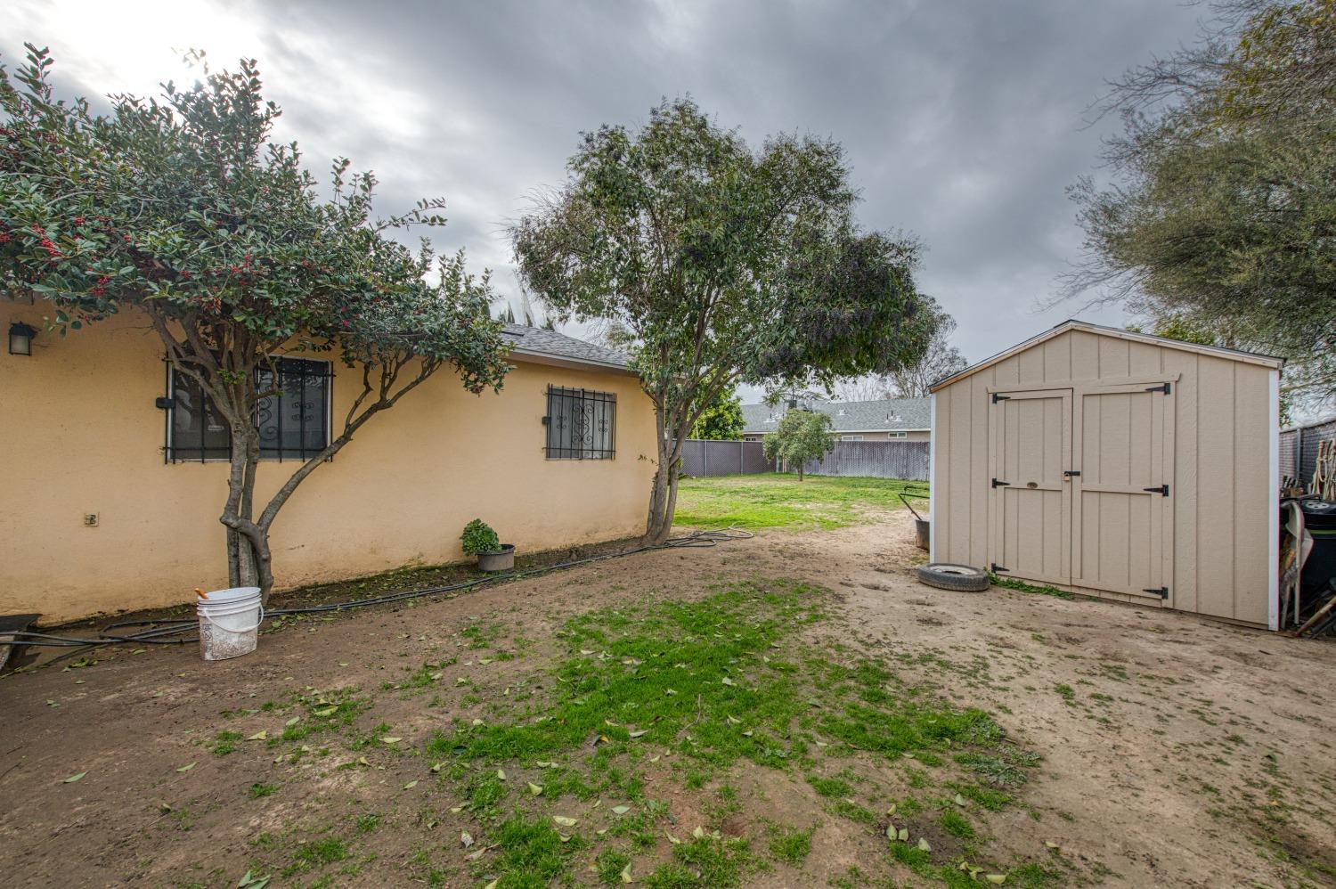 717 Clinton Street Madera, CA 93638 - Photo 33 of 38 a view of a house with backyard and tree