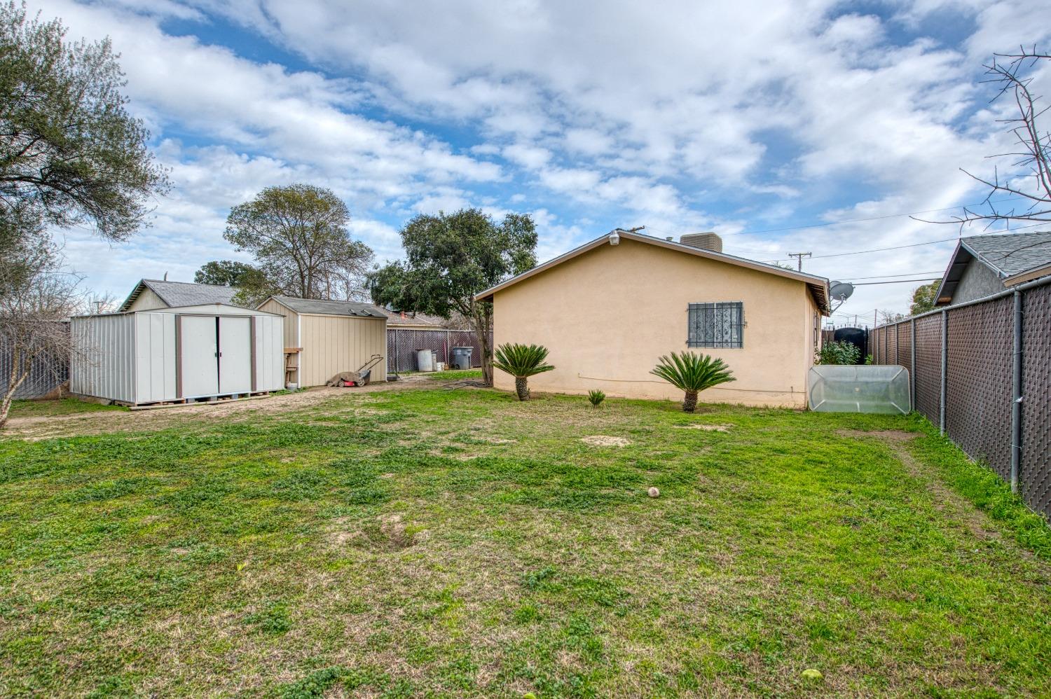 717 Clinton Street Madera, CA 93638 - Photo 38 of 38 a view of a backyard with plants and a large tree