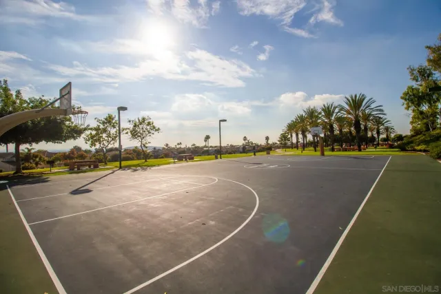 a view of a swimming pool with a bench and trees in the background