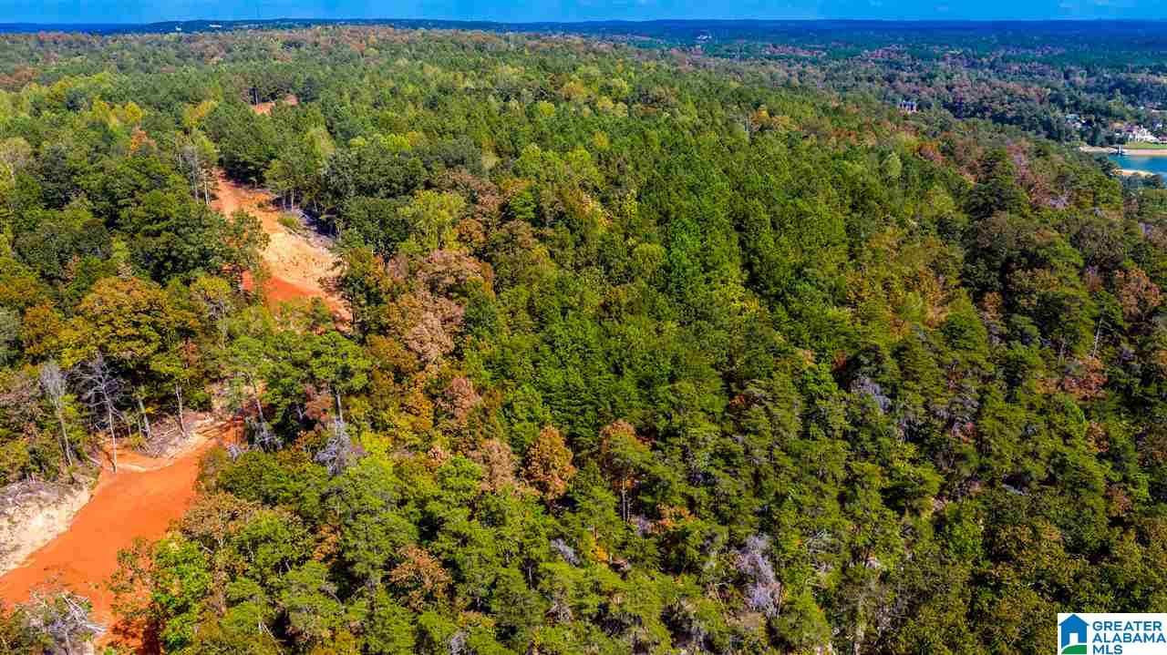 0 County Road 297 Cullman, AL 35057 - Photo 41 of 48