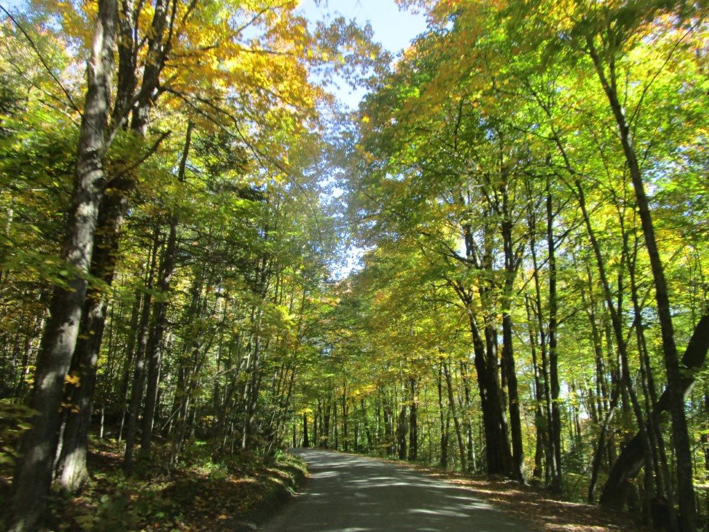 0 School House Road Brookfield, VT 05036 - Photo 1 of 12