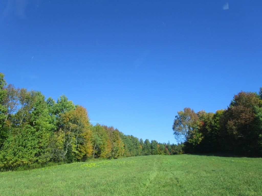 0 School House Road Brookfield, VT 05036 - Photo 2 of 12