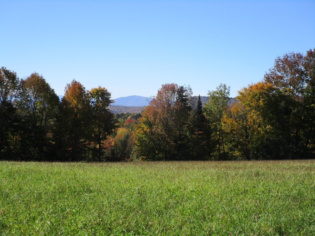 0 School House Road Brookfield, VT 05036 - Photo 3 of 12