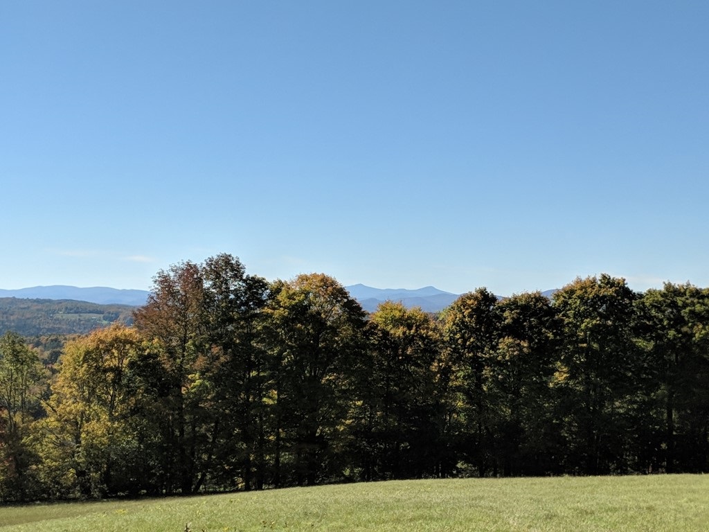 0 School House Road Brookfield, VT 05036 - Photo 8 of 12