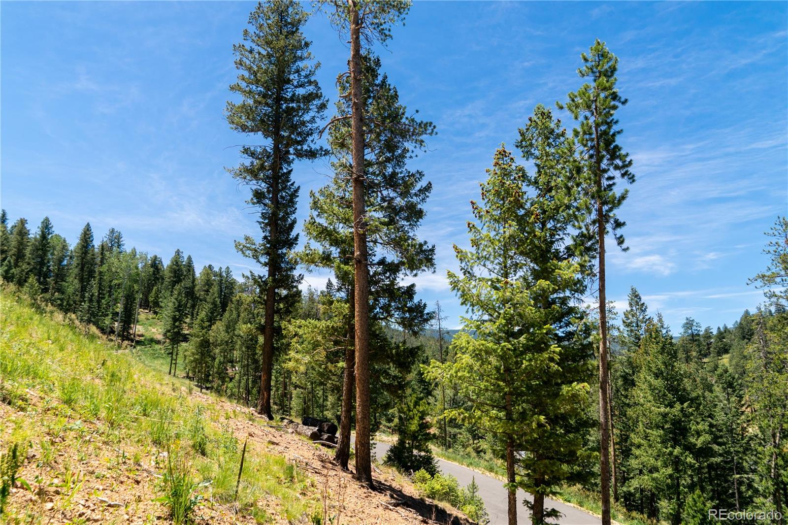 6814 Lynx Lair Road Evergreen, CO 80439 - Photo 13 of 19