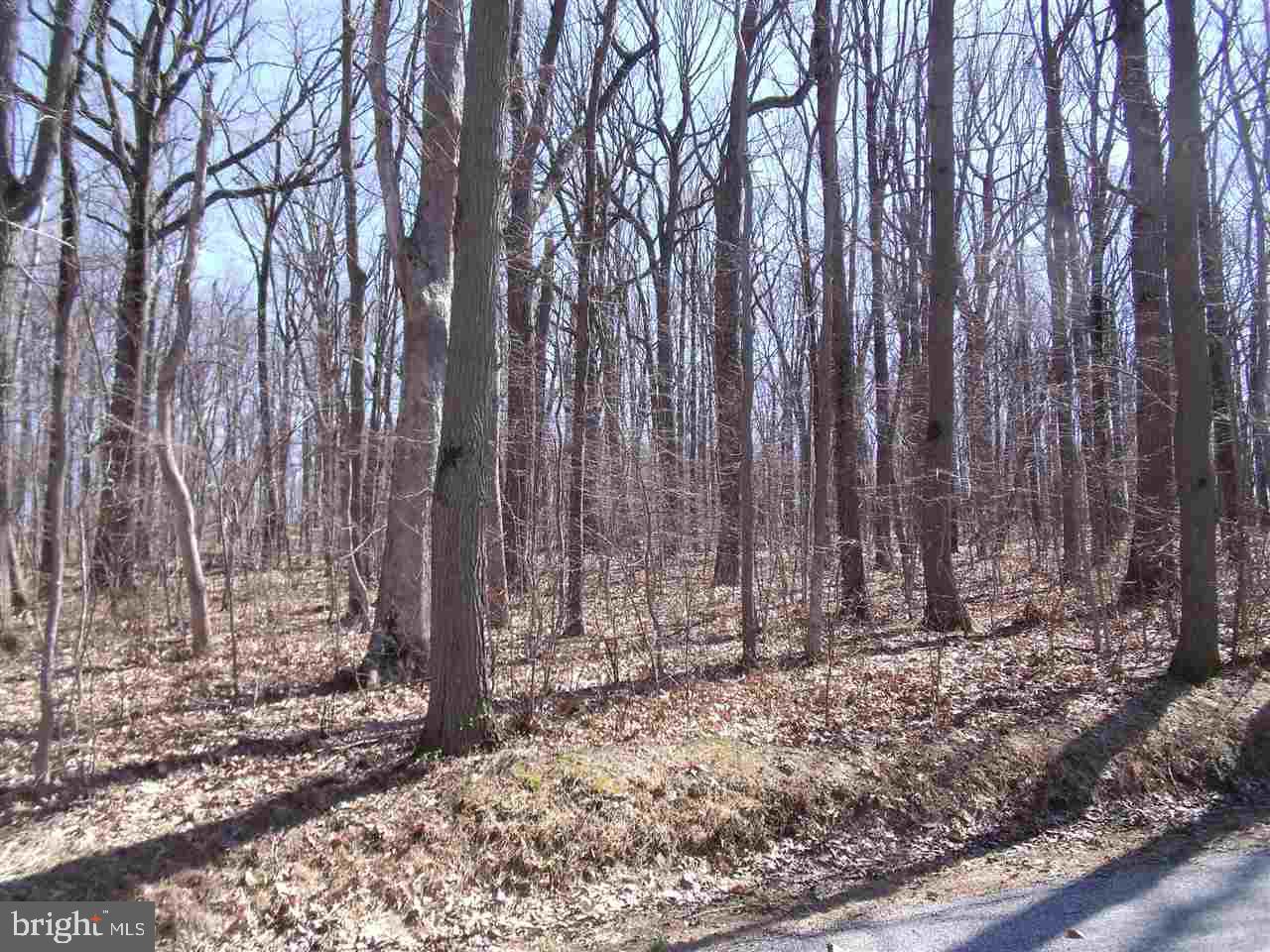 4528 Beards School Road Spring Grove, PA 17362 - Photo 1 of 5