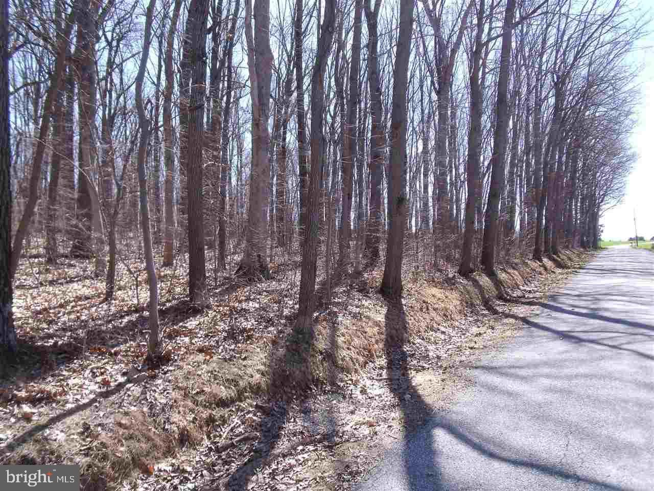 4528 Beards School Road Spring Grove, PA 17362 - Photo 2 of 5