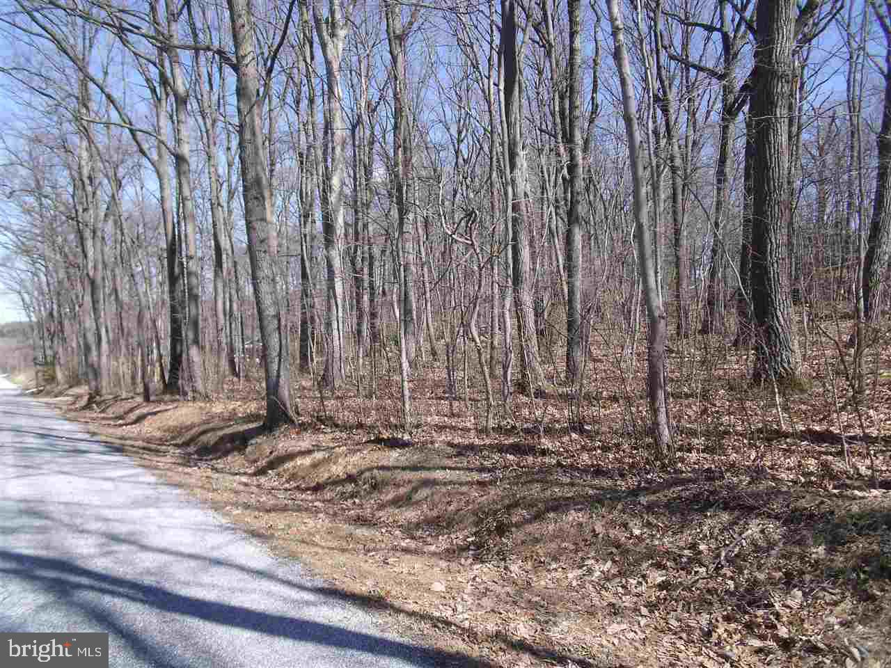 4528 Beards School Road Spring Grove, PA 17362 - Photo 3 of 5
