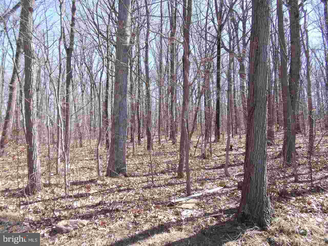 4528 Beards School Road Spring Grove, PA 17362 - Photo 4 of 5
