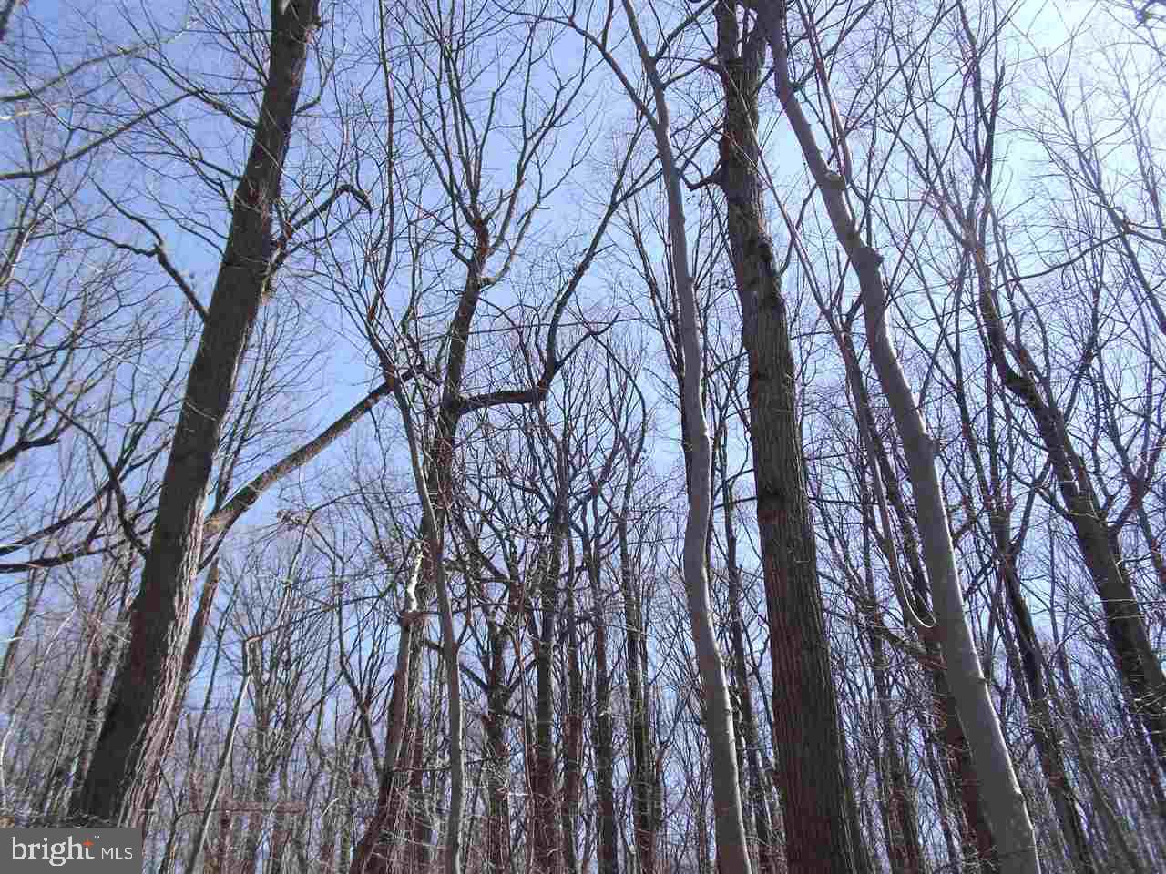 4528 Beards School Road Spring Grove, PA 17362 - Photo 5 of 5