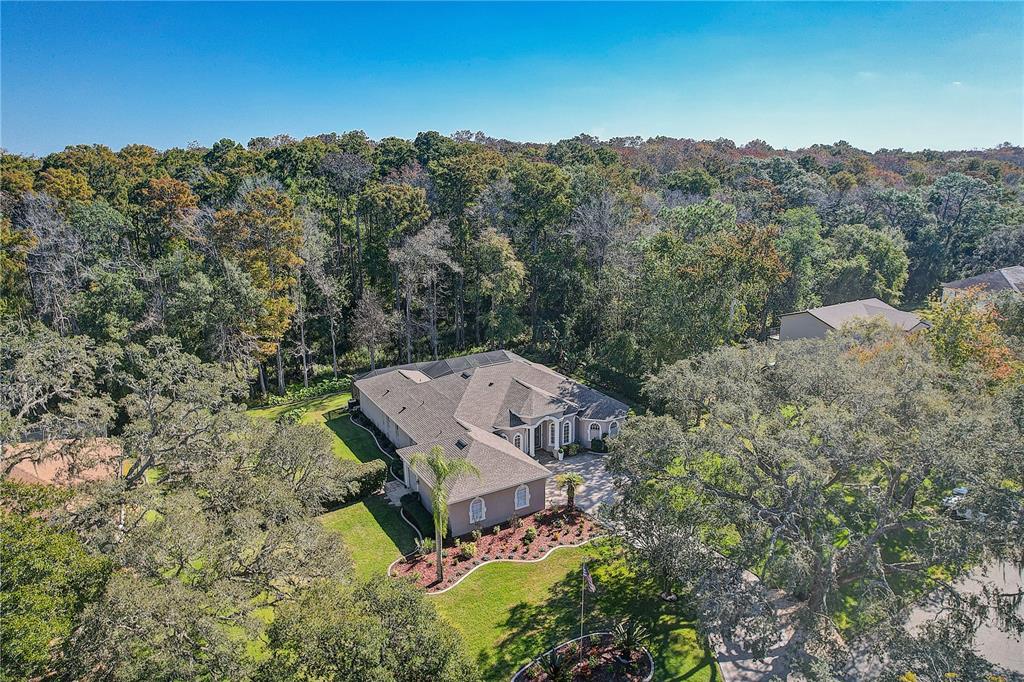 12054 Quail Ridge Drive Spring Hill, FL 34610 - Photo 4 of 69