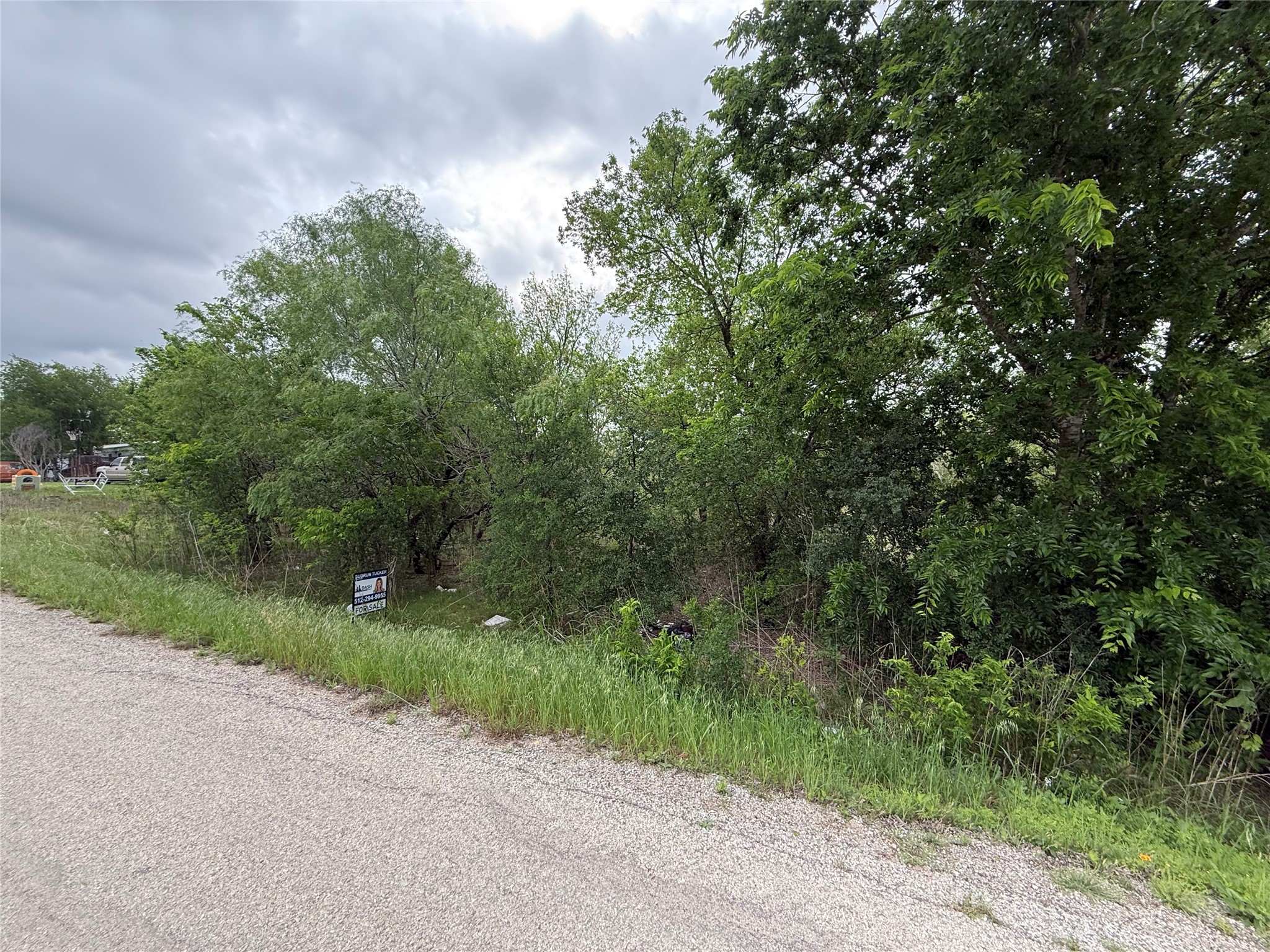 0 Dickerson Road Kyle, TX 78640 - Photo 3 of 4 The property features a natural landscape with extensive green foliage and trees