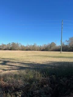 5123 Elmore Road Graceville, FL 32440 - Photo 11 of 13 IMG_0755