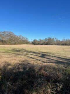 5123 Elmore Road Graceville, FL 32440 - Photo 12 of 13 IMG_0756