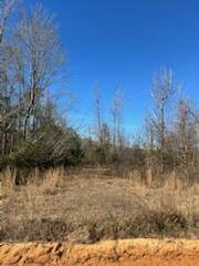 5123 Elmore Road Graceville, FL 32440 - Photo 3 of 13 IMG_0758