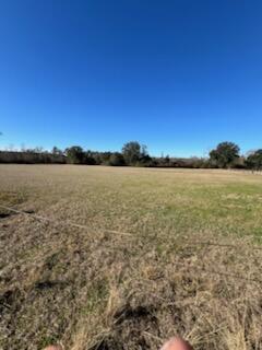 5123 Elmore Road Graceville, FL 32440 - Photo 5 of 13 IMG_0749