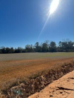 5123 Elmore Road Graceville, FL 32440 - Photo 7 of 13 IMG_0751