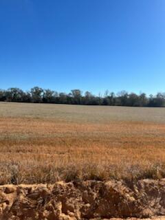 5123 Elmore Road Graceville, FL 32440 - Photo 8 of 13 IMG_0752