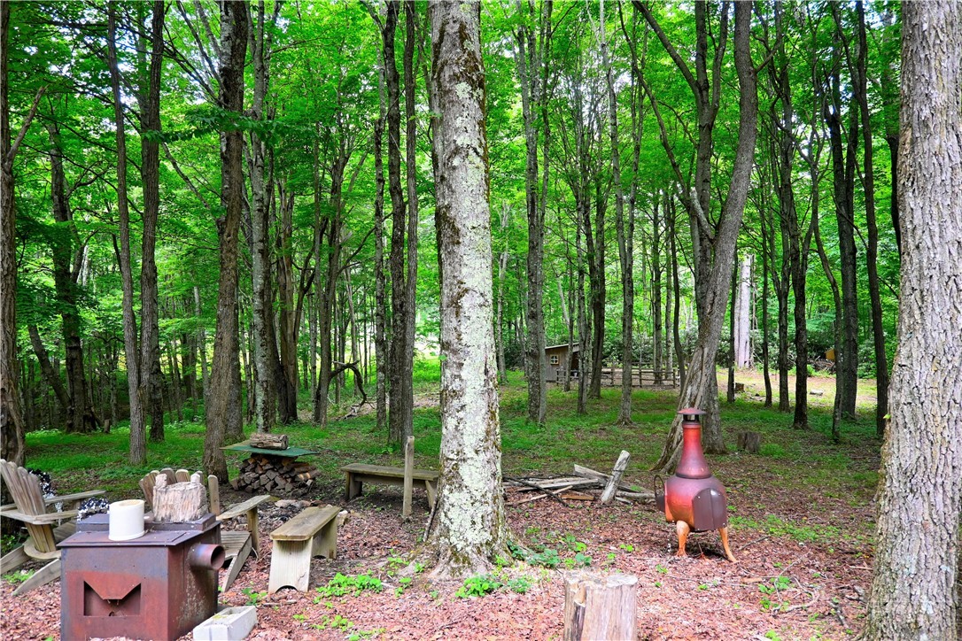 463 Fairview Church Road Lansing, NC 28643 - Photo 5 of 49