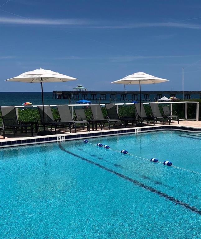 333 Northeast 21st Avenue, Unit 318 Deerfield Beach, FL 33441 - Photo 20 of 40 a view of a swimming pool with lawn chairs under an umbrella