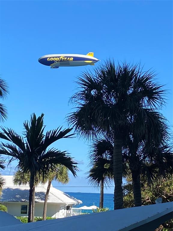 333 Northeast 21st Avenue, Unit 318 Deerfield Beach, FL 33441 - Photo 27 of 40 a view of a palm tree with palm trees