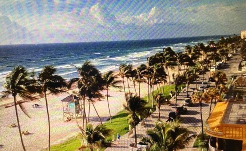 333 Northeast 21st Avenue, Unit 318 Deerfield Beach, FL 33441 - Photo 32 of 40 a view of a backyard of a house