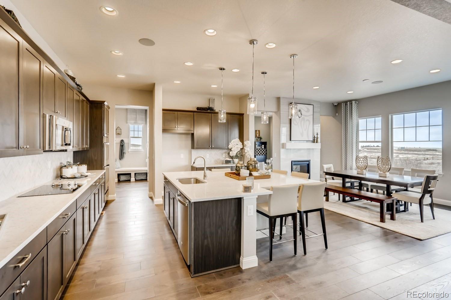 3025 Blithe Point Castle Rock, CO 80108 - Photo 9 of 28 Gallery Image 9