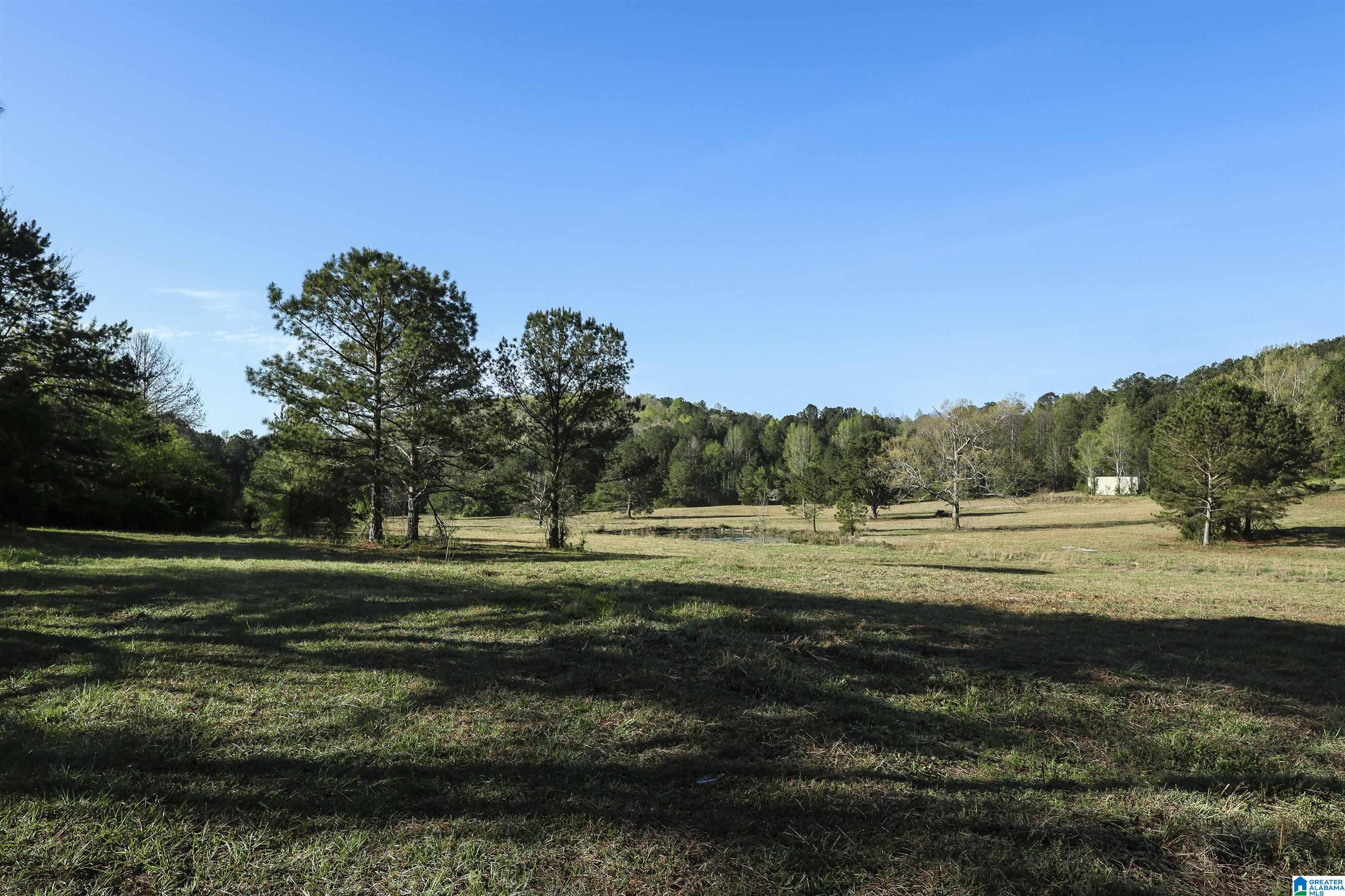 0 Stone Ridge Trail South, Unit 49 95 AC Anniston, AL 36207 - Photo 6 of 22