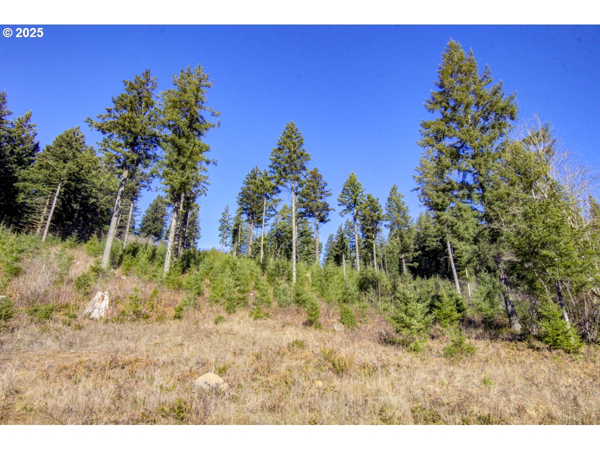 Northeast Hancock Road, Unit 2 Camas, WA 98607 - Photo 3 of 13