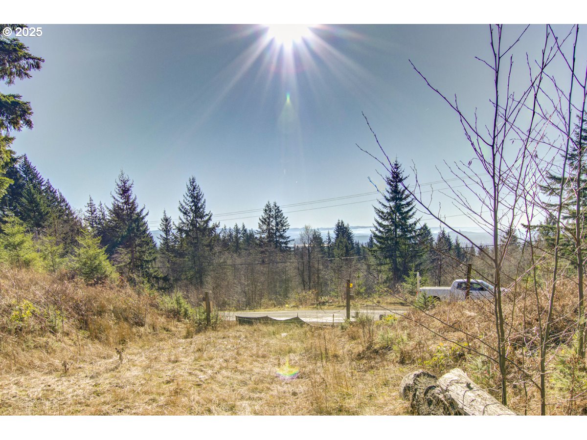 Northeast Hancock Road, Unit 2 Camas, WA 98607 - Photo 7 of 13