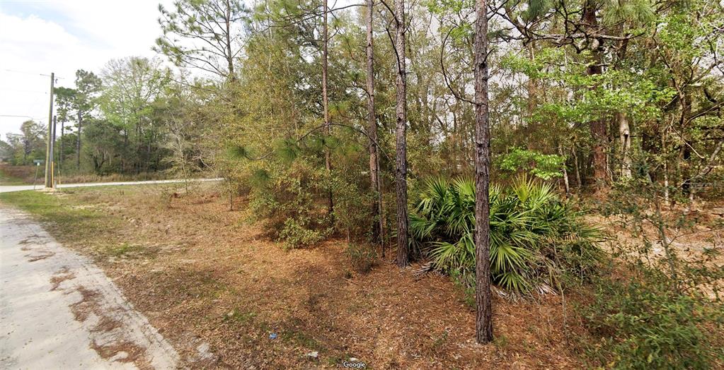 Southwest 146th Court Ocala, FL 34481 - Photo 2 of 11 a view of outdoor space and yard