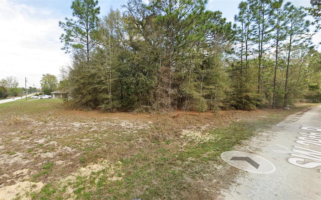 Southwest 146th Court Ocala, FL 34481 - Photo 4 of 11 a view of outdoor space and yard
