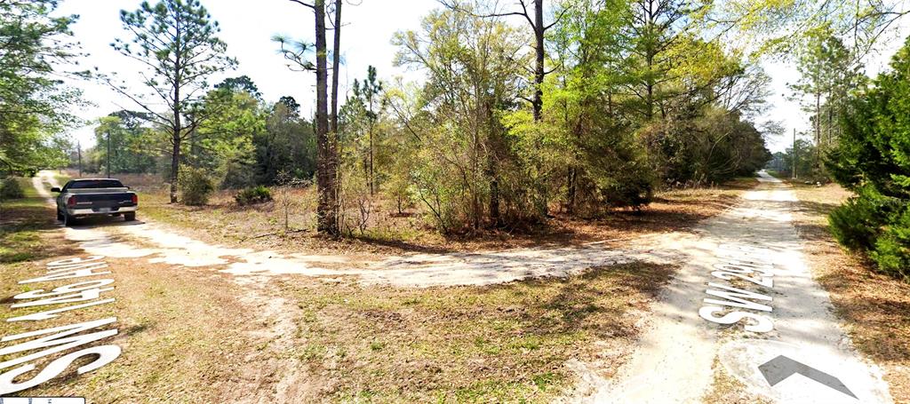 Southwest 146th Court Ocala, FL 34481 - Photo 6 of 11 a view of outdoor space and yard