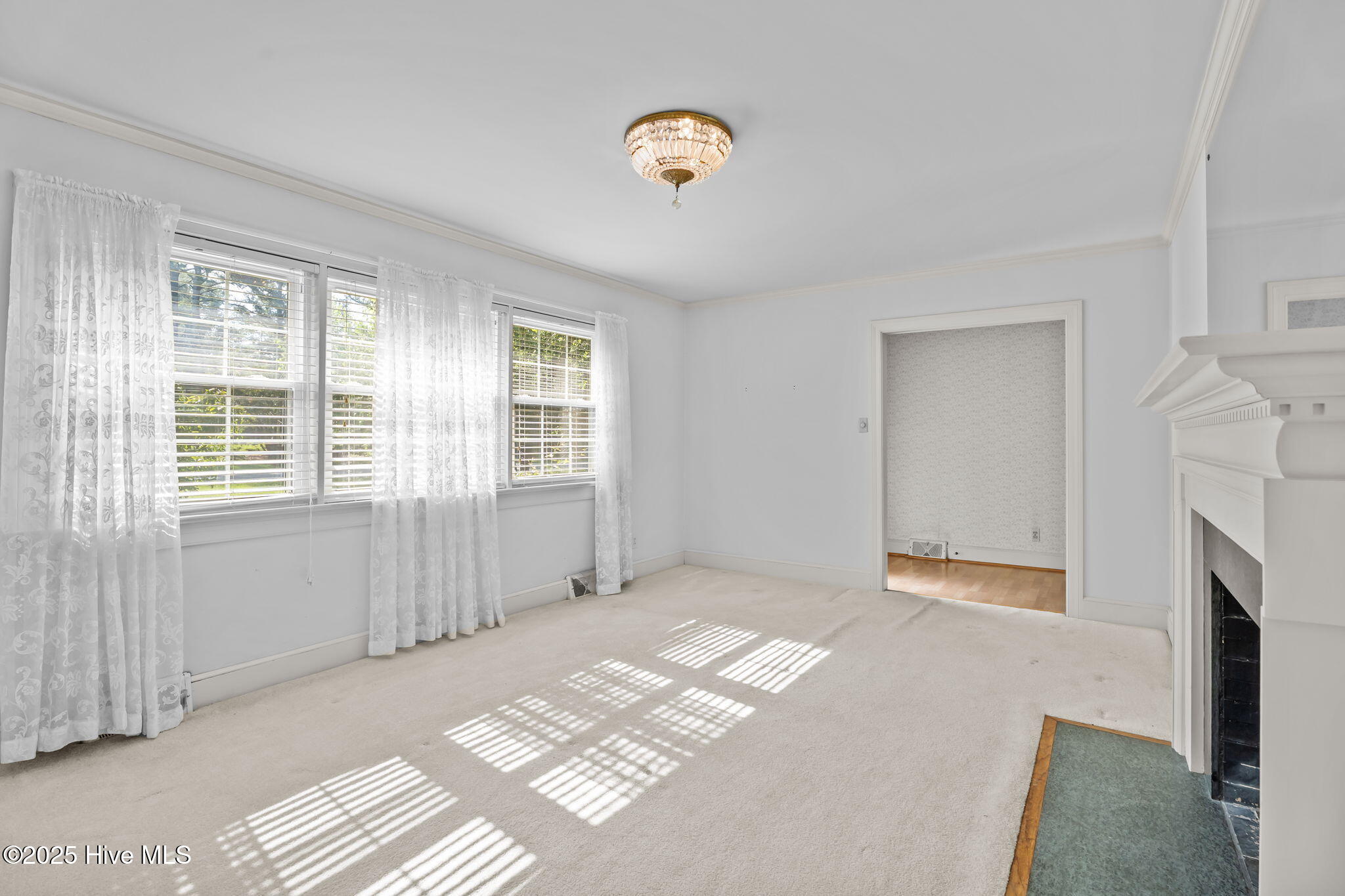 1911 Salem Church Road Goldsboro, NC 27530 - Photo 14 of 41 13-web-or-mls-DSC01689