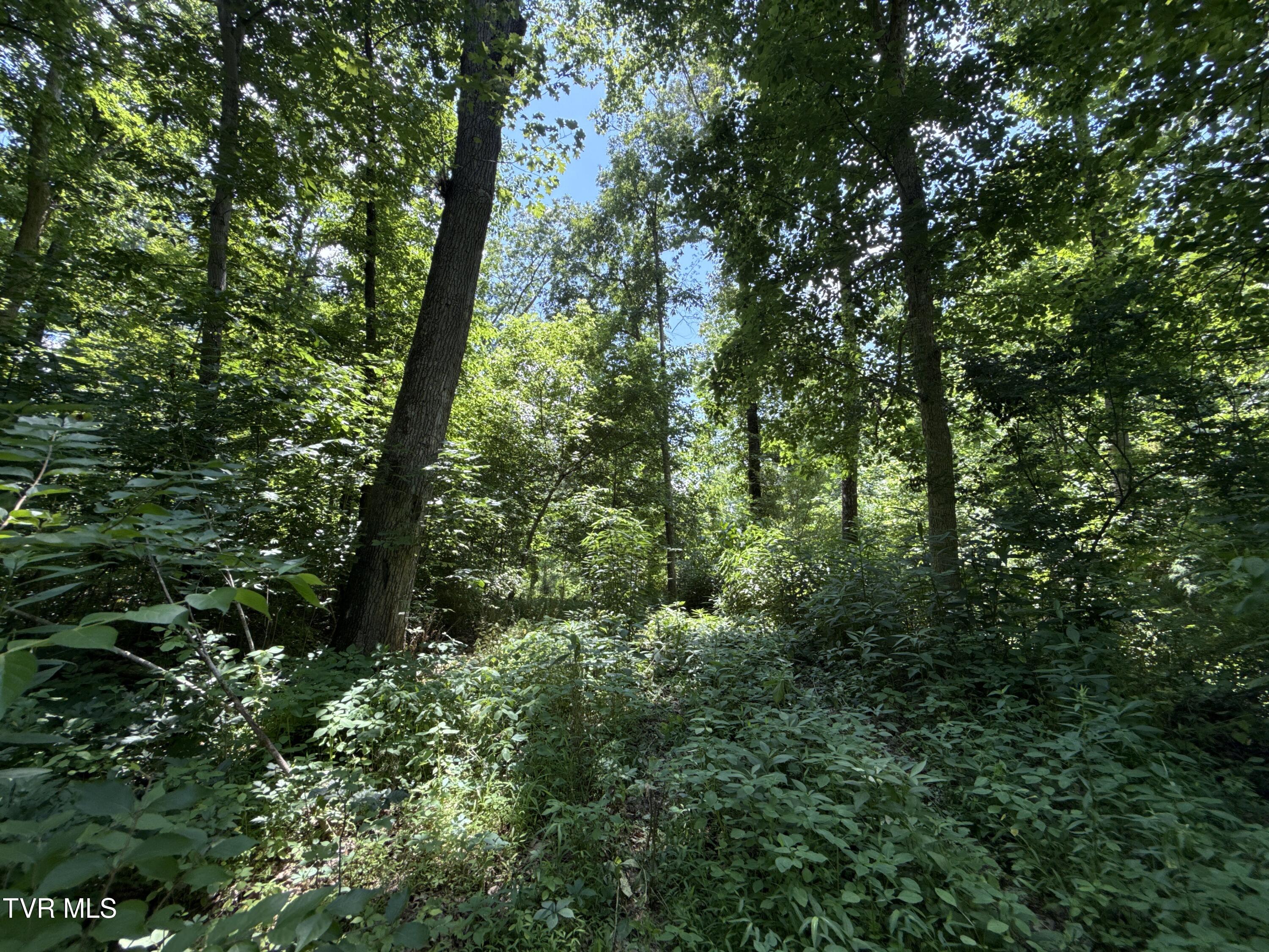 12-ac Max Jett Road Johnson City, TN 37601 - Photo 8 of 27 _Pic9 (3)
