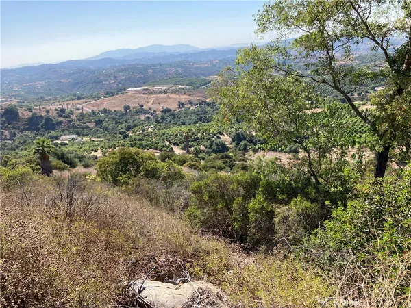 a view of a forest with mountains in the background