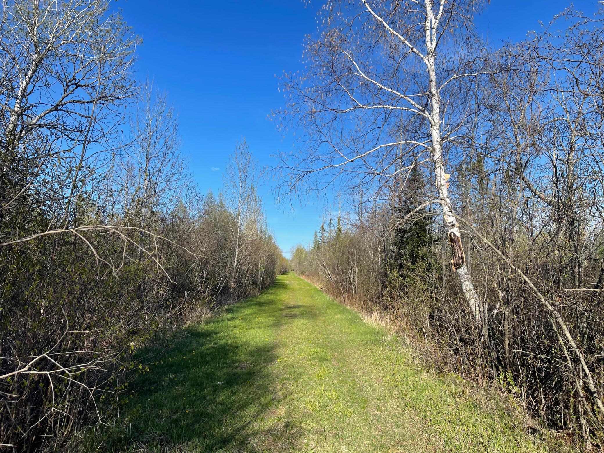 508 Cedar Valley Road Floodwood, MN 55736 - Photo 1 of 12