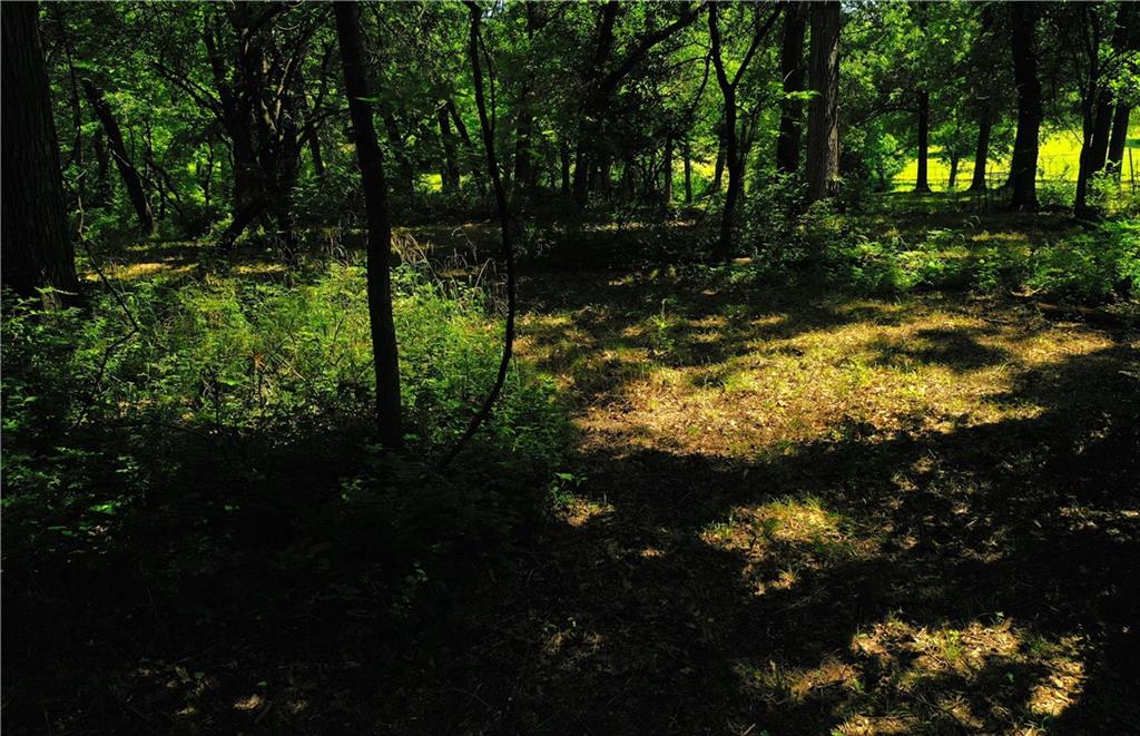 10188 Southwest State Rte 7 Lee's Summit, MO 64086 - Photo 4 of 15