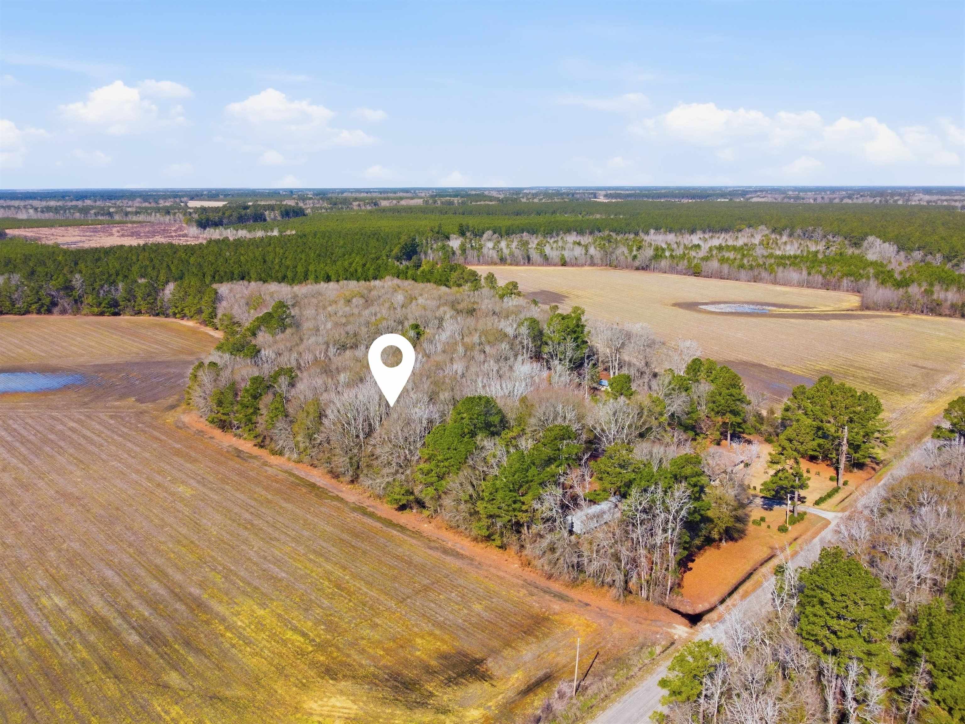 Not Specified Cades, SC 29518 - Photo 2 of 4 Gallery Image 2