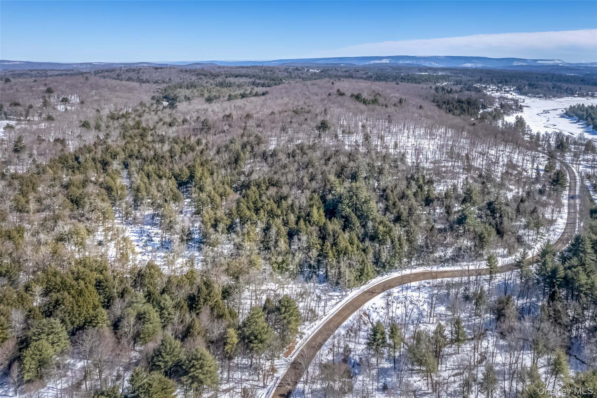 Camp Road Wawarsing, NY 12489 - Photo 3 of 11 a view of a forest with trees in the background