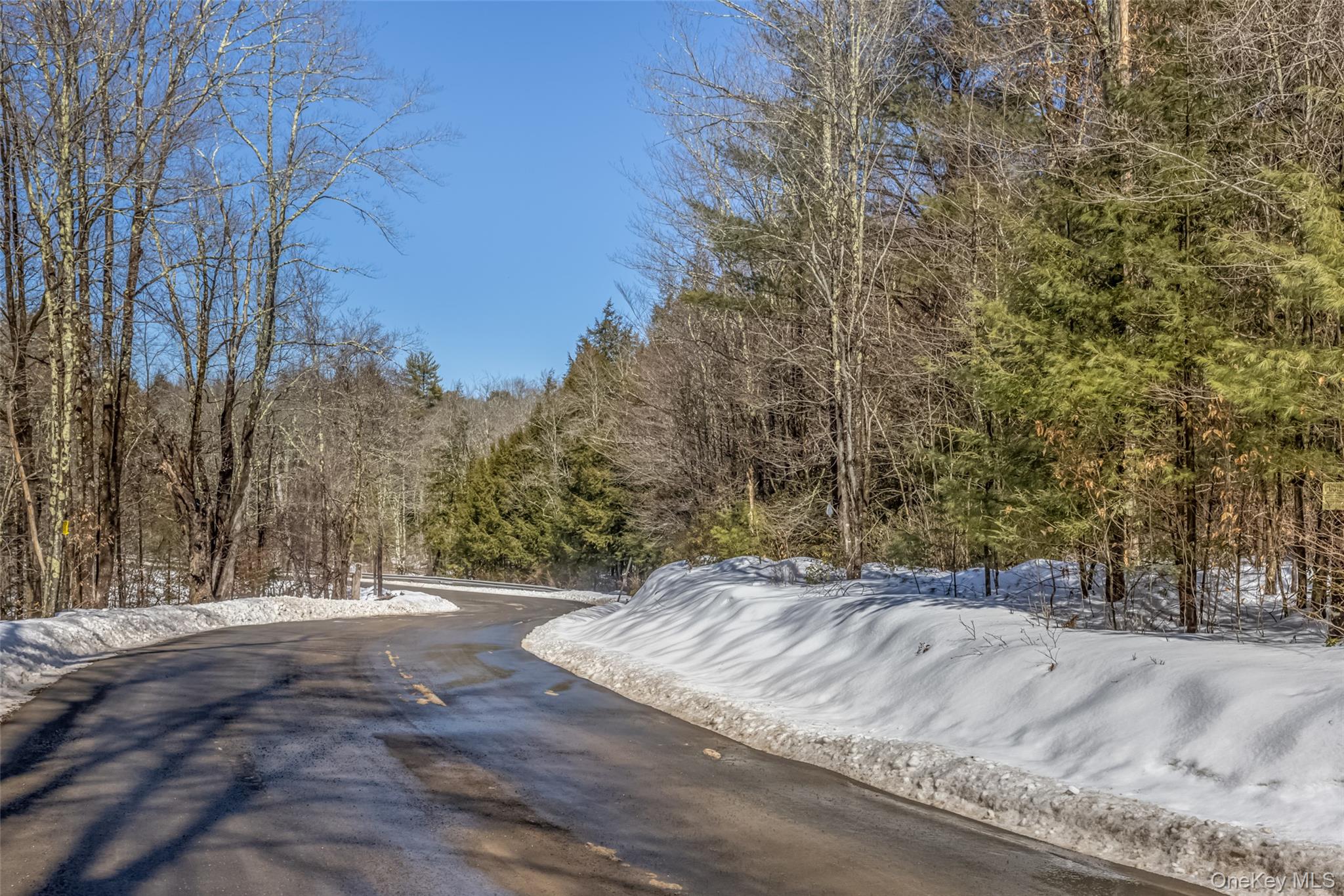 Camp Road Wawarsing, NY 12489 - Photo 6 of 11 a view of dirt yard and a trees