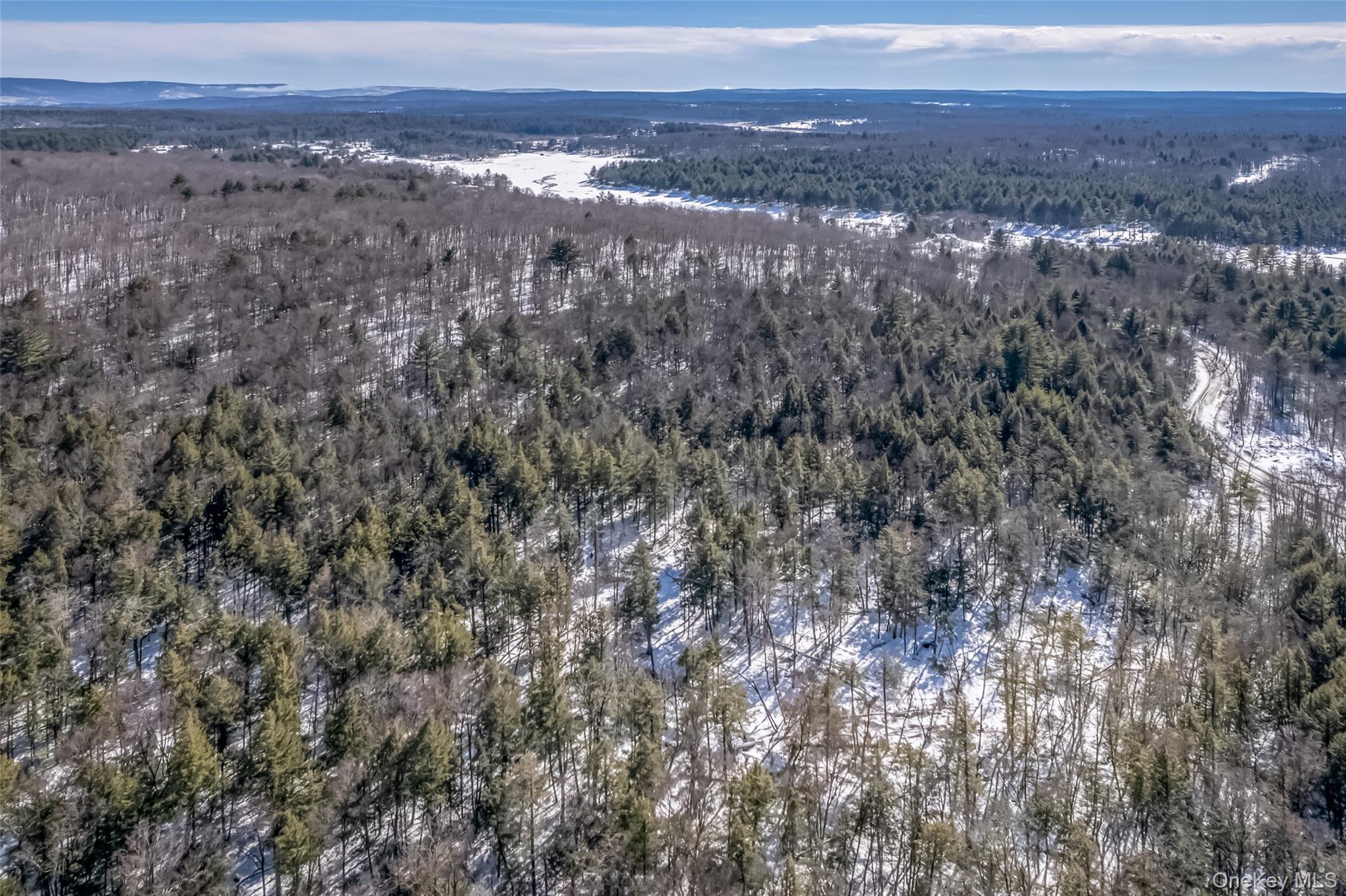 Camp Road Wawarsing, NY 12489 - Photo 8 of 11 a view of city and mountain