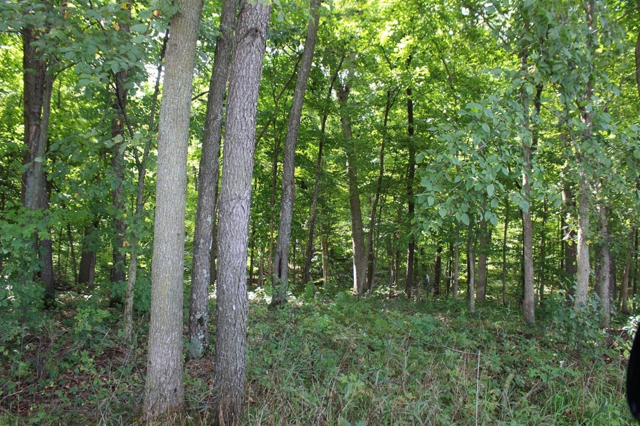 2550 Norvell Road Grass Lake, MI 49240 - Photo 12 of 38 Gallery Image 12