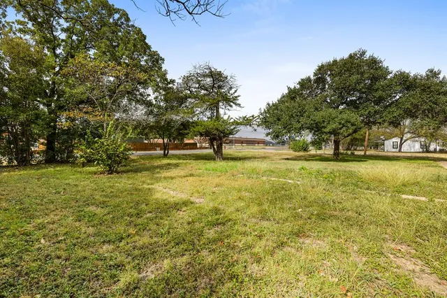 a view of yard with trees