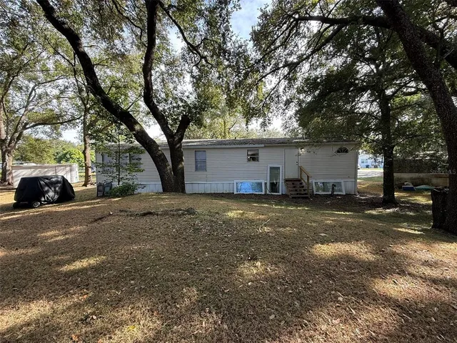 a view of a tree in the middle of a yard