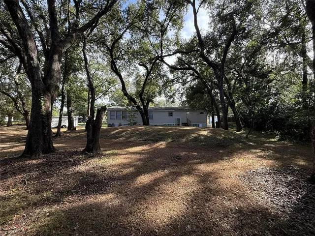 a view of a tree in the middle of a yard