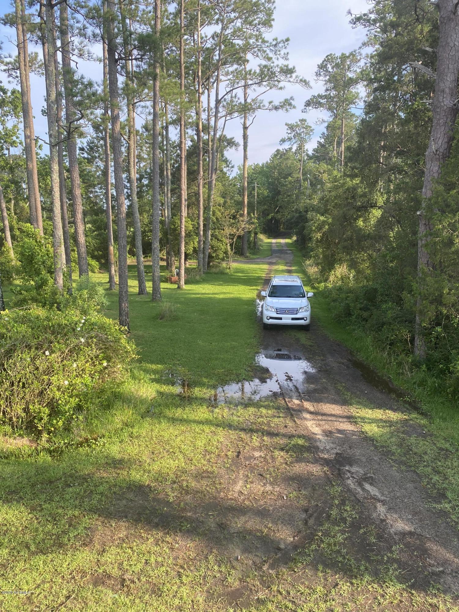 1159 Whealton Point Road Aurora, NC 27806 - Photo 17 of 23 017 Driveway