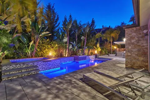 a view of a park with large trees