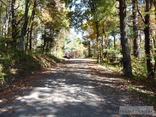 1057 Blue Ridge Church Road Purlear, NC 28665 - Photo 23 of 25 a view of outdoor space and yard